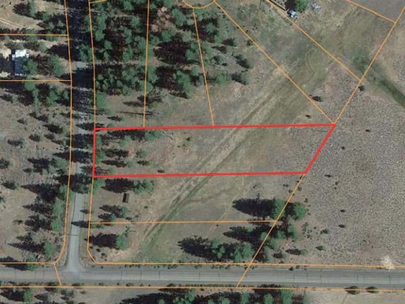 1.56 Acres with Mountain Views : Lookout : Modoc County : California