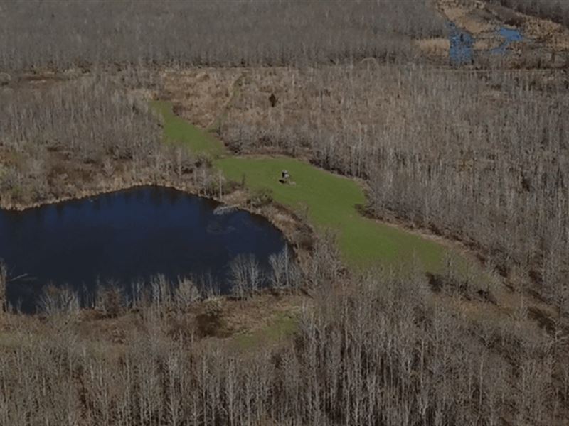 La, Madison 451.7 Acres : Tallulah : Madison Parish : Louisiana