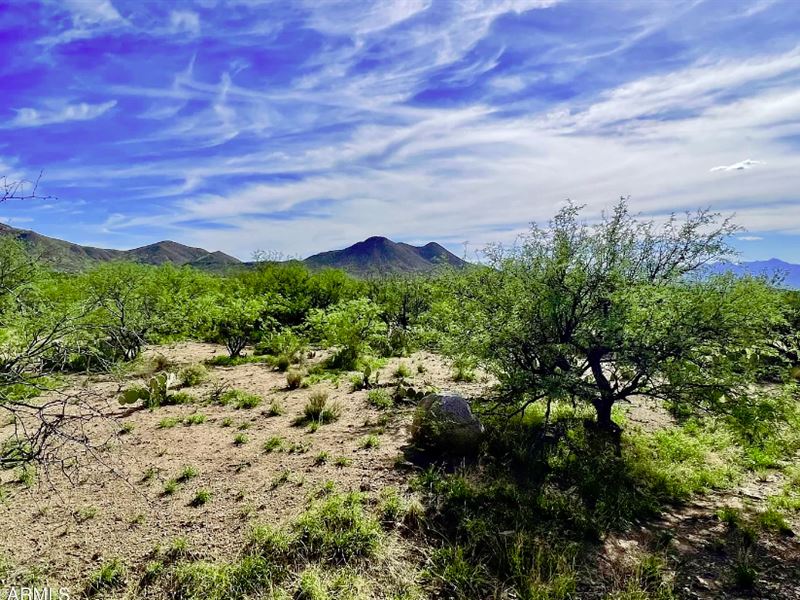 Must Sell Pretty Sierrita Mtn 40 Ac : Tucson : Pima County : Arizona