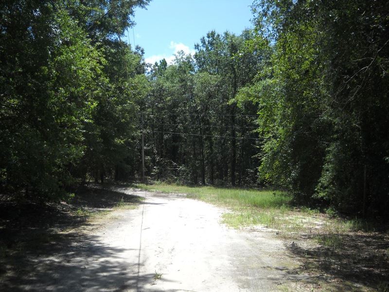 10.04 Acres Off Pressley Drive : Laurinburg : Scotland County : North Carolina