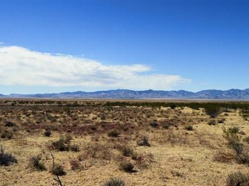 Ready for Outdoor Adventures : Meadview : Mohave County : Arizona