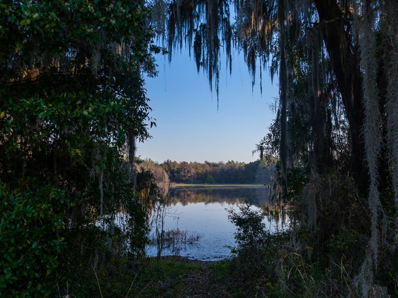 Carter Lake, Hamilton County : Jasper : Hamilton County : Florida