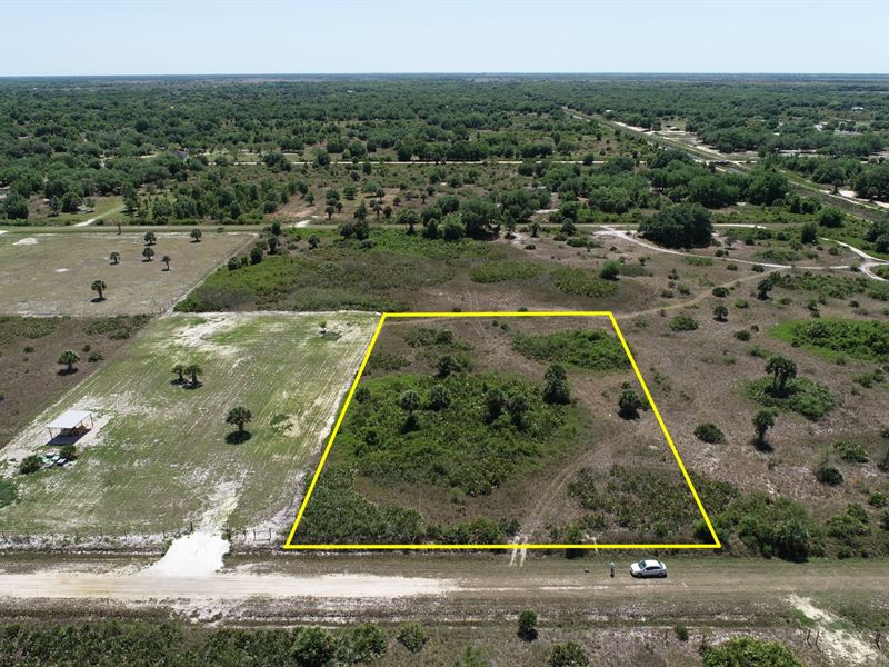 High & Dry 1.25 Acres : Okeechobee : Okeechobee County : Florida