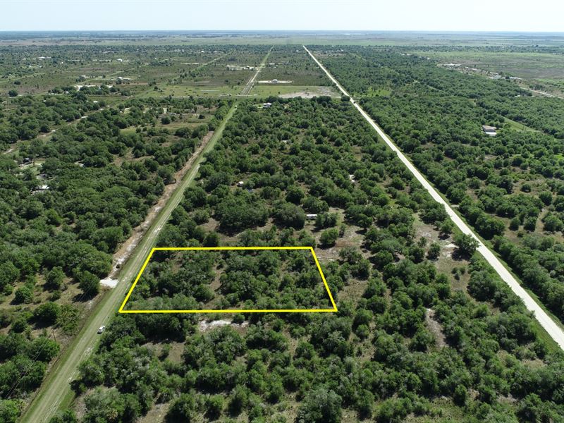 High & Dry 1.50 Acre Lot with Power : Okeechobee : Okeechobee County : Florida