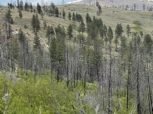 Lockman Ridge Lookout : Riverside : Okanogan County : Washington