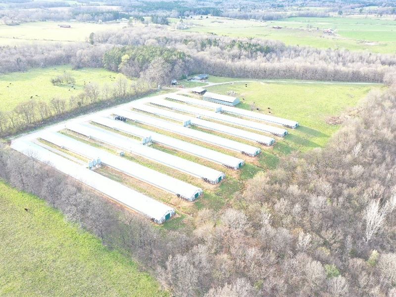 Spring Creek Farm : Russellville : Franklin County : Alabama