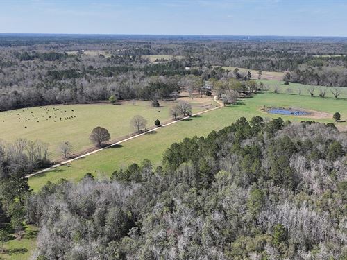 Turn-Key Panhandle Ranch : Westville : Holmes County : Florida