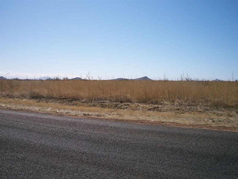 7 Great Lots, Near Town : Sunsites : Cochise County : Arizona
