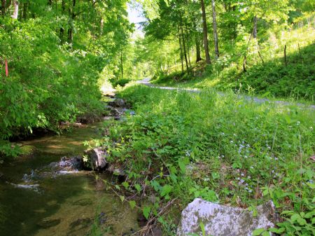 Owner Financed Land with Creek : Gibson Station : Lee County : Virginia
