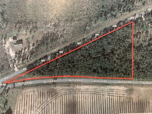 Nice Building Lot : Greenwood : Jackson County : Florida