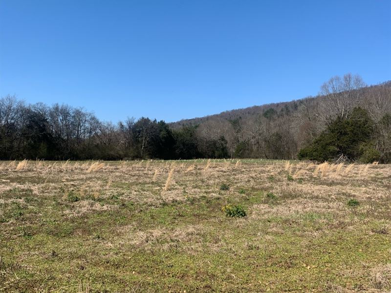 320 Acres Scottsboro : Scottsboro : Jackson County : Alabama