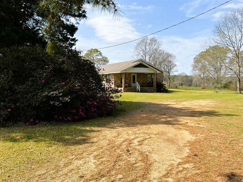 38.93 Acres Pastureland, 3 Bed/1 Ba : Magnolia : Pike County : Mississippi