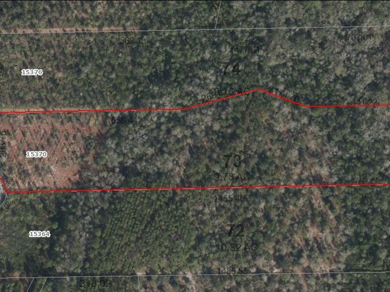 Lot 73 Deep Creek, Bryceville : Bryceville : Nassau County : Florida