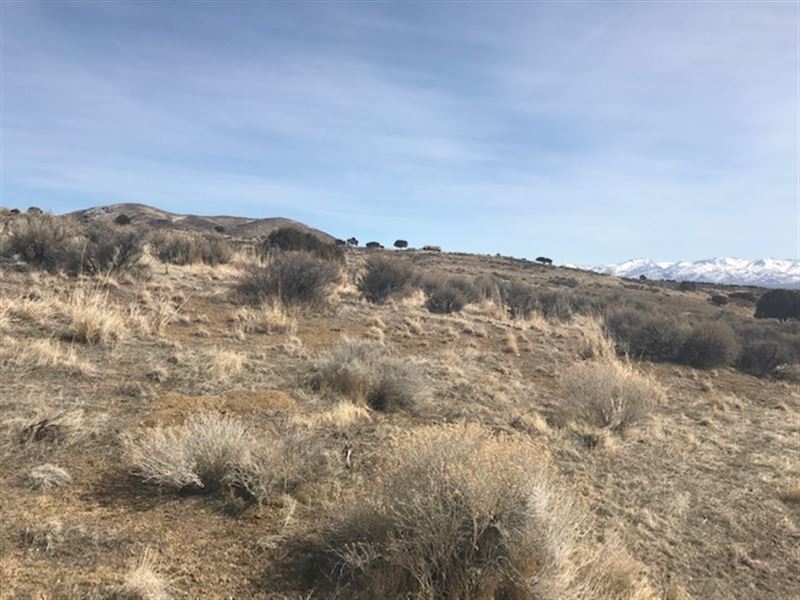 Ruby Mountain Vistas Every Day : Spring Creek : Elko County : Nevada