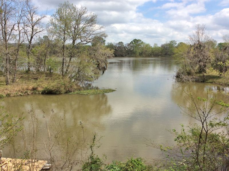 River Paradise Ln House : Lowndesboro : Lowndes County : Alabama