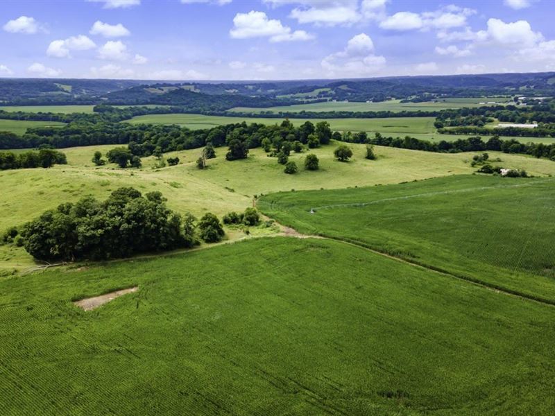 255 Acres of Row Crop in Fertile Gi : Pulaski : Giles County : Tennessee