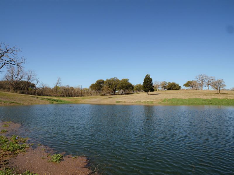 9.25 Acres in Milam County, Texas : Rockdale : Milam County : Texas