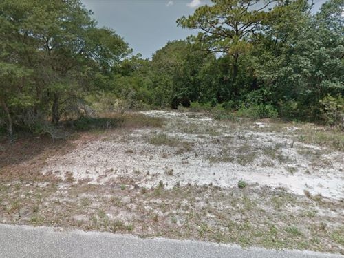 Dry and Level Lot in Leisure Lakes : Lake Placid : Highlands County : Florida