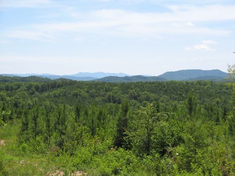 274 Acres : Vonore : Monroe County : Tennessee