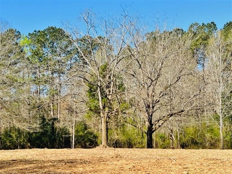 3.32 Acres On Jayess Road / Jayess : Jayess : Walthall County : Mississippi