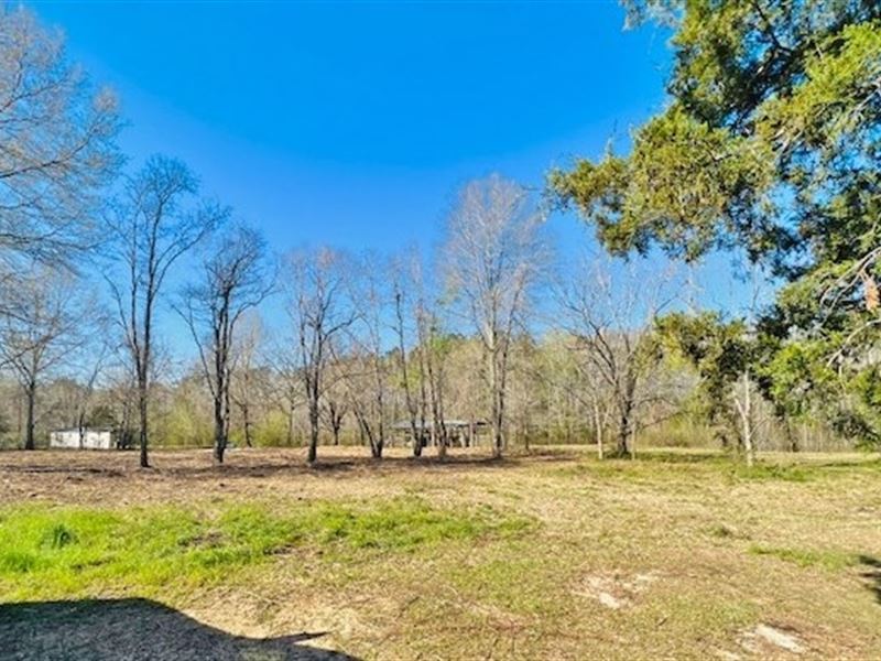1.97 Acres On Jayess Road / Walthal : Jayess : Walthall County : Mississippi