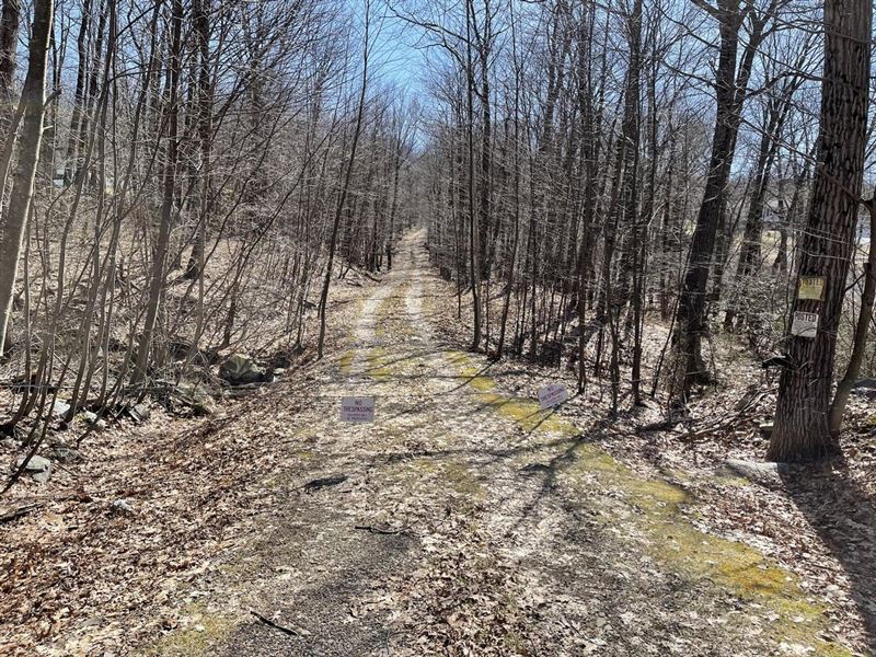 129 Acres, Luzerne County, Laurel : Bear Creek : Luzerne County : Pennsylvania