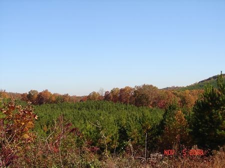 196 Acres : Decatur : Meigs County : Tennessee