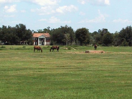 Polk Country Estate : Frostproof : Polk County : Florida