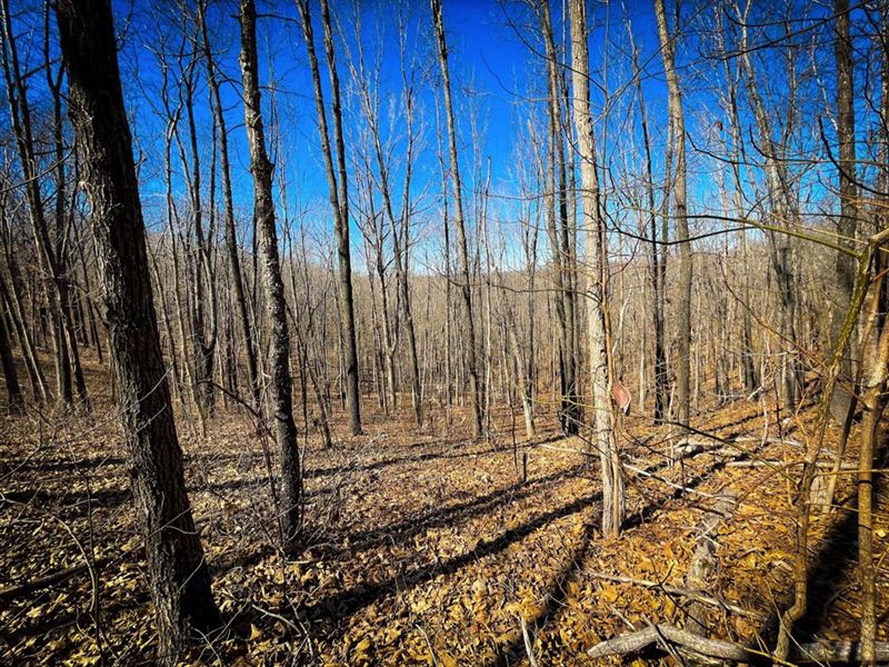 2.98 Ac Near Lakes, Trees & Power : Edwards : Benton County : Missouri