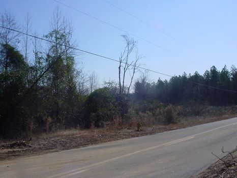 Smaller Hunting Tract with Creek : Milledgeville : Baldwin County : Georgia
