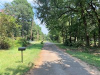 Wooded RV / Mobile Lot, Electric : Bullard : Cherokee County : Texas