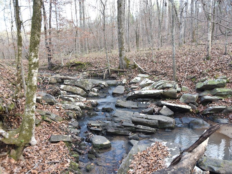 Near Columbus But Far From City Land for Sale in Fortson, Harris