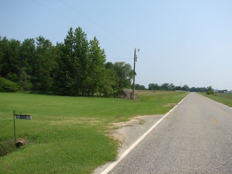 Augusta Area-155 Acres : Waynesboro : Burke County : Georgia
