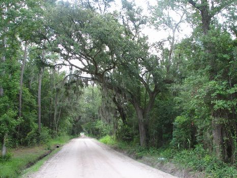 16 Acres : Hinesville : Liberty County : Georgia