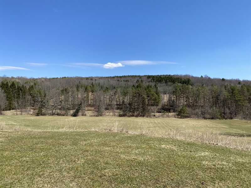 Unique Recreational Setting or Home : Union : Broome County : New York