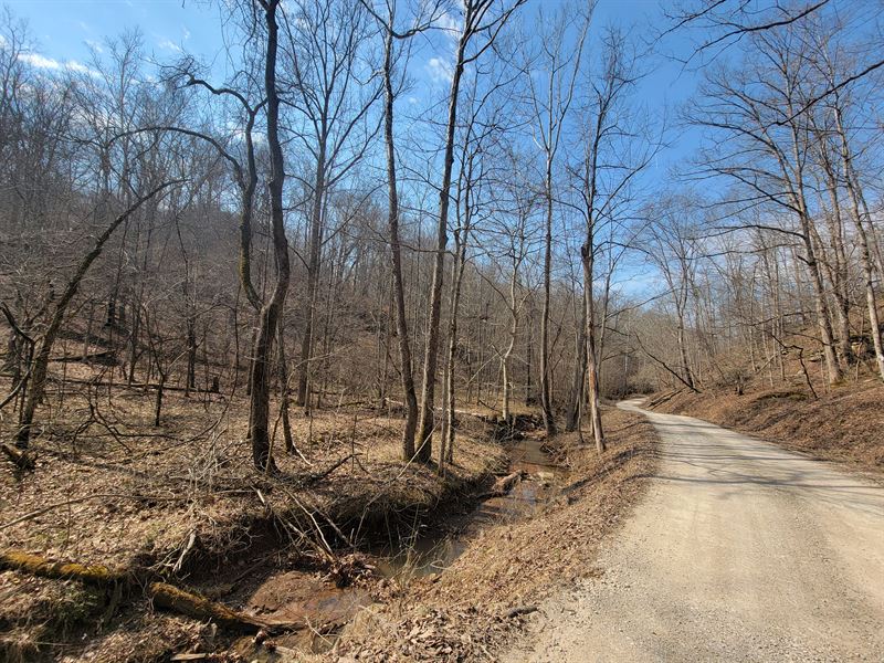 Tolley Tract : Ripley : Jackson County : West Virginia
