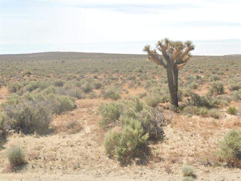 High Value for Low Price : Mojave : Kern County : California