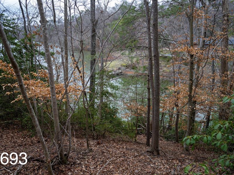 1.14 Ac Lake Hickory Lakefront : Hickory : Caldwell County : North Carolina