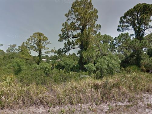 Homesite in Lake Placid, Florida : Lake Placid : Highlands County : Florida