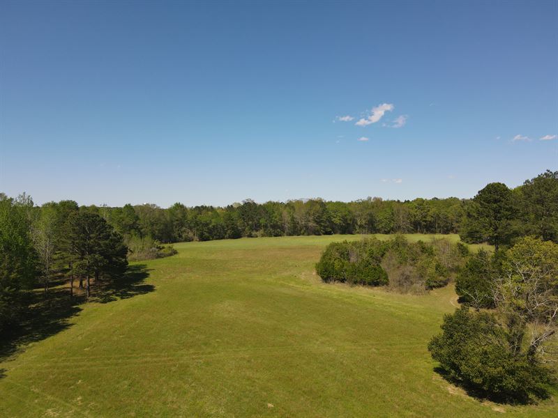 Lofton Road Tract : Troy : Pike County : Alabama