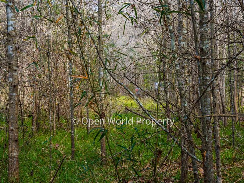 By Trinity River and Refuge : Hardin : Liberty County : Texas
