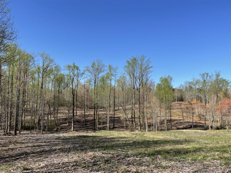 S Black Rd Tract 2, Hall County,Ga : Clermont : Hall County : Georgia