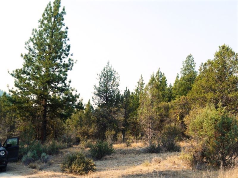 1.47 Acre in Klamath County, OR : Beatty : Klamath County : Oregon