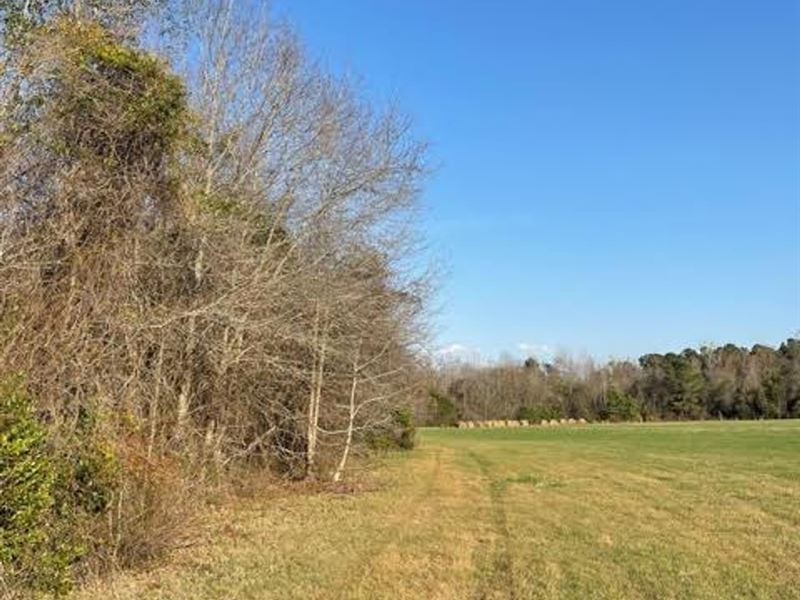28.42 Acres Just Outside Manning : Manning : Clarendon County : South Carolina