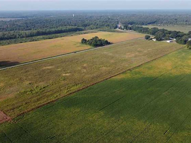 Great Large Lot Close to Highway : Little Rock : Pulaski County : Arkansas