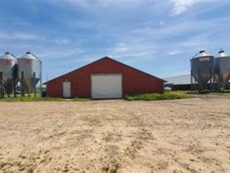 Beautiful Poultry Broiler Farm : Philadelphia : Neshoba County : Mississippi