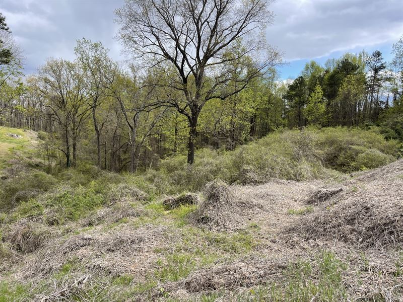 2 Acres, Habersham County, GA : Baldwin : Habersham County : Georgia