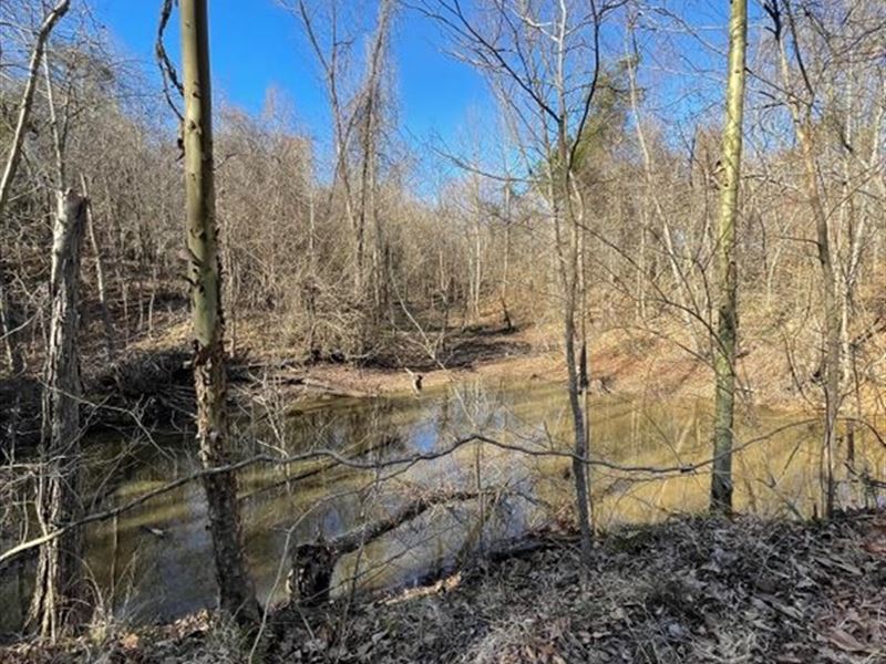 36 Acres in Madison County in Flora : Flora : Madison County : Mississippi