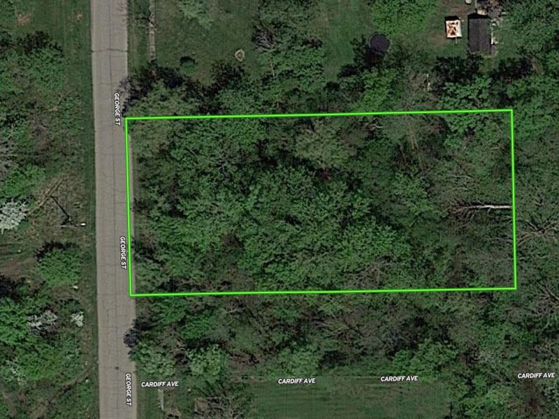 Treed Residential Parcel : Mount Morris : Genesee County : Michigan