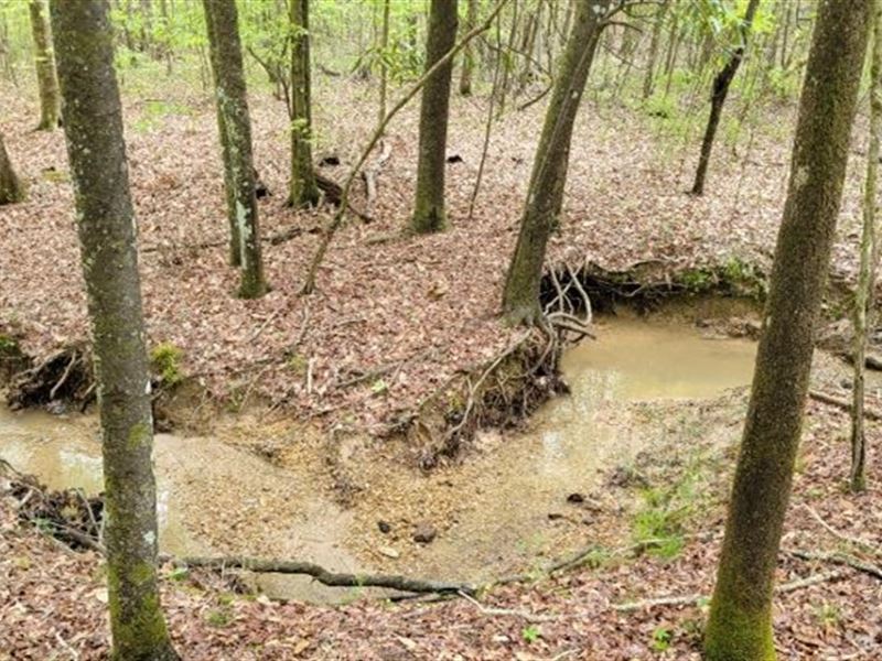 80 Acres in Franklin County in McCa : McCall Creek : Franklin County : Mississippi
